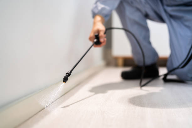 Bed Bug Pre-Treatment Preparation Assessment in Wellford