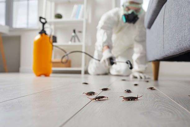 Post-Treatment Bed Bug Interceptor Monitoring in Wellford