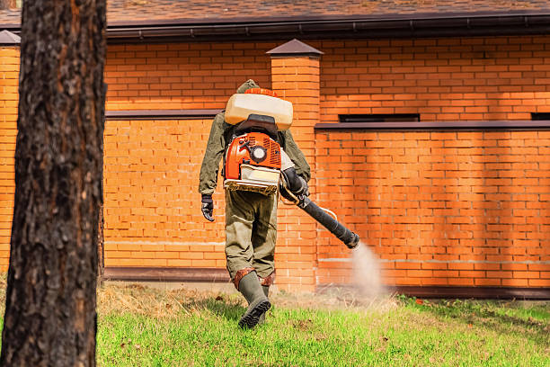 Bed Bug Clearance Verification and Documentation in Wellford